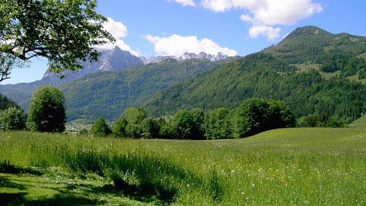 Kaiser Garten 2015 Kaiser Garten 2015